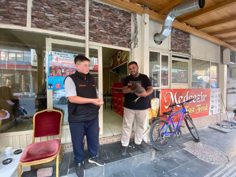 Tavuğun Cesareti Dönerciyi Şaşkına Çevirdi: Yumurtlamak İçin Tavuk Dönerciyi Seçti