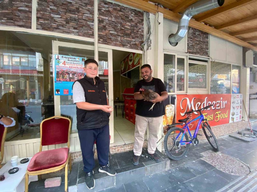 Tavuğun Cesareti Dönerciyi Şaşkına Çevirdi: Yumurtlamak İçin Tavuk Dönerciyi Seçti