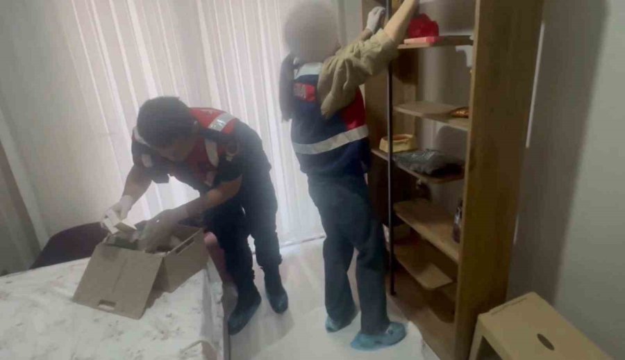 Daeş Terör Örgütüne Operasyon: 2 Tutuklama