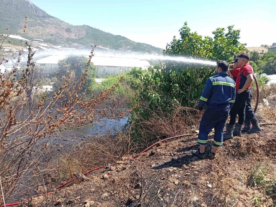 Mersin’de Çıkan Yangınlarda 14 Dönüm Alan Zarar Gördü