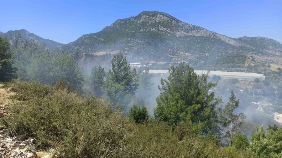 Mersin’de Çıkan Yangınlarda 14 Dönüm Alan Zarar Gördü