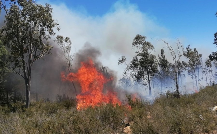Mersin’de Çıkan Yangınlarda 14 Dönüm Alan Zarar Gördü