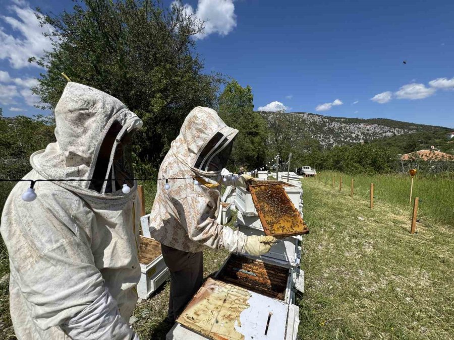 Antalya’da Arıcılar Yeni Sezona Hazırlanıyor