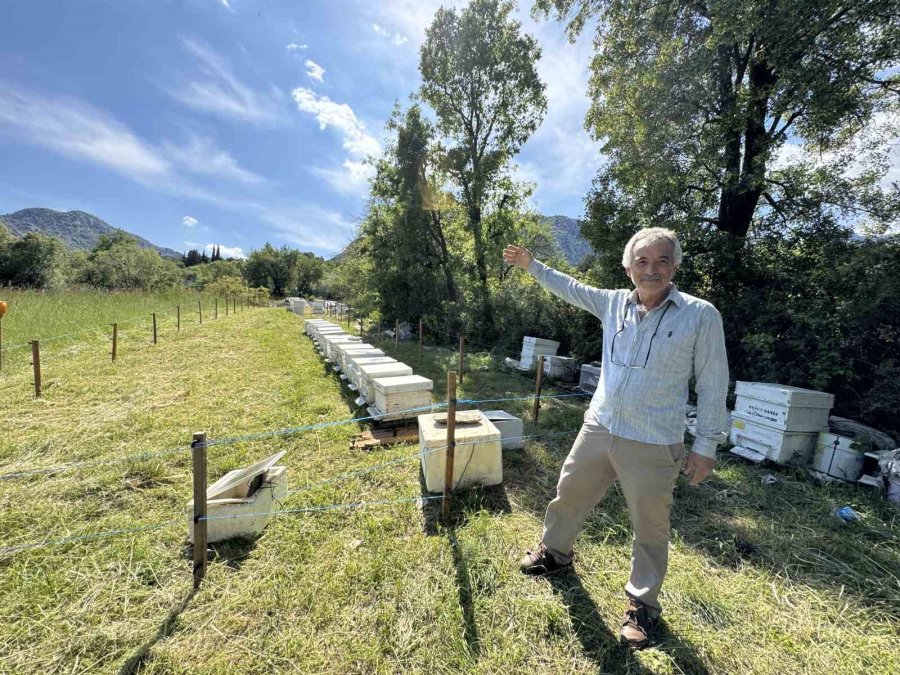 Antalya’da Arıcılar Yeni Sezona Hazırlanıyor