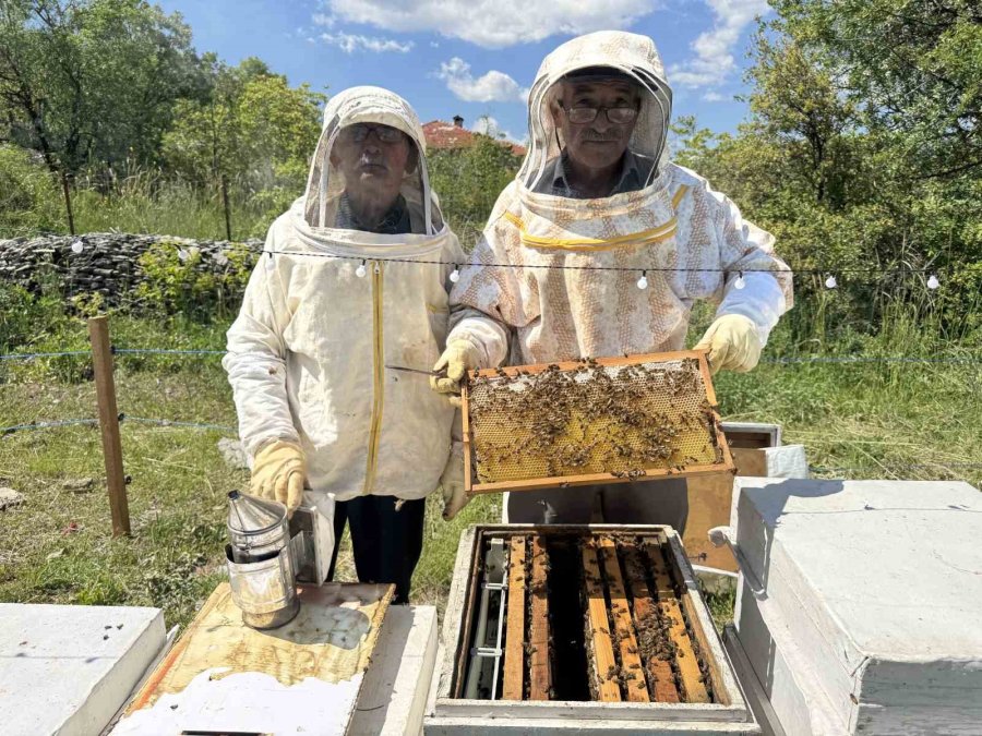 Antalya’da Arıcılar Yeni Sezona Hazırlanıyor