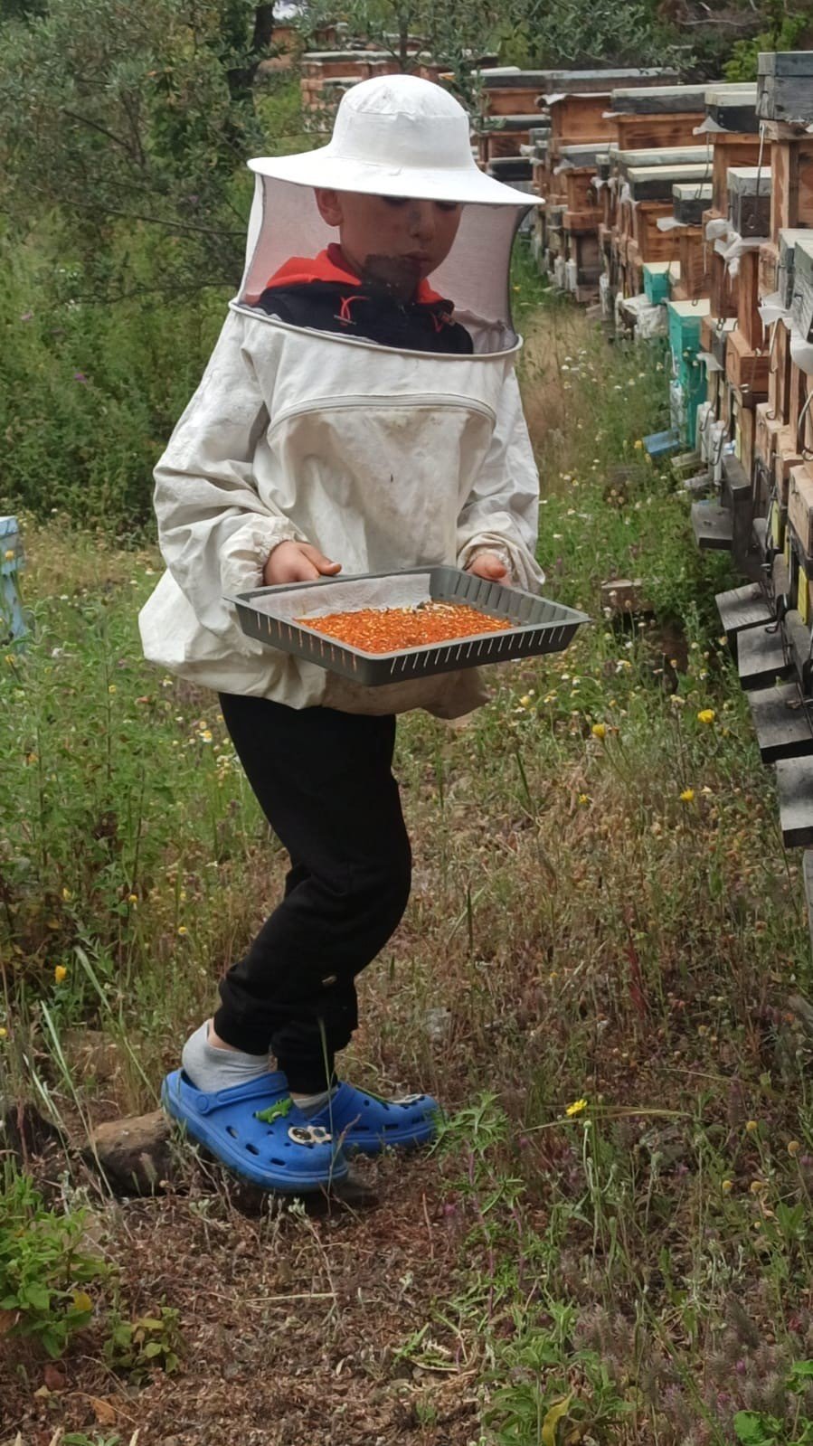 Gazipaşa’da Arıcıların Yayla Mesaisi Başlıyor