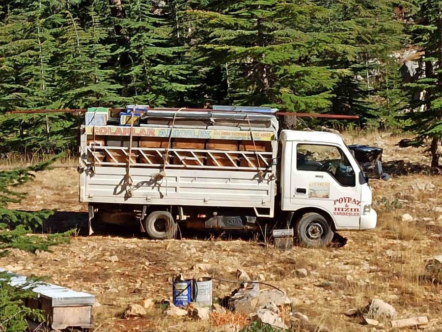 Gazipaşa’da Arıcıların Yayla Mesaisi Başlıyor