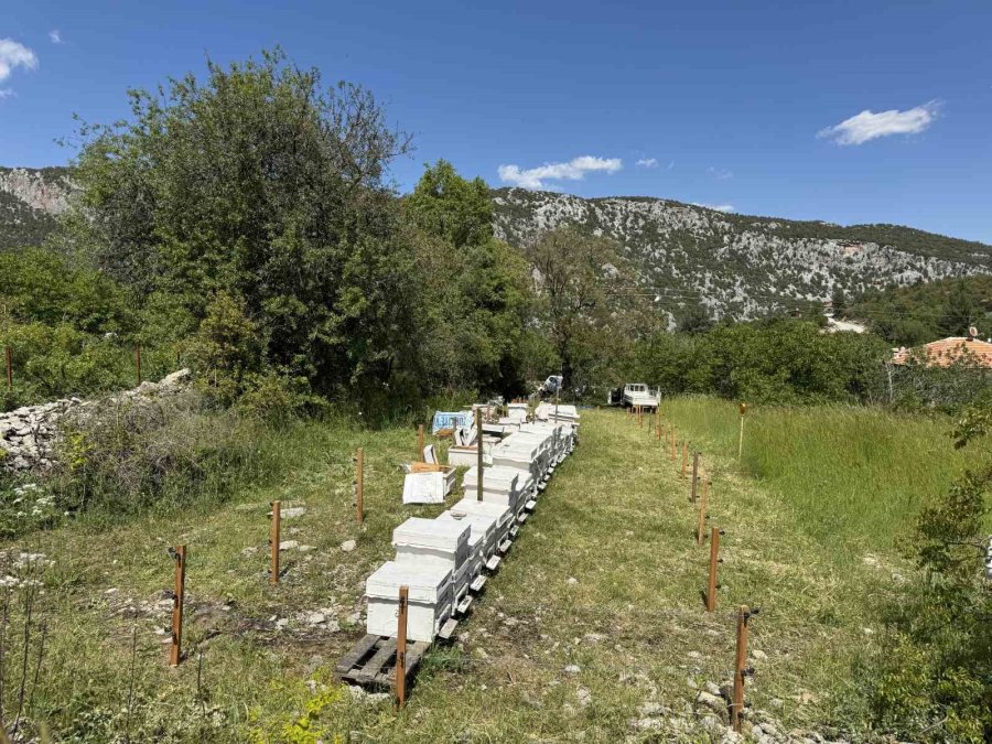 Antalya’da Arıcılar Yeni Sezona Hazırlanıyor
