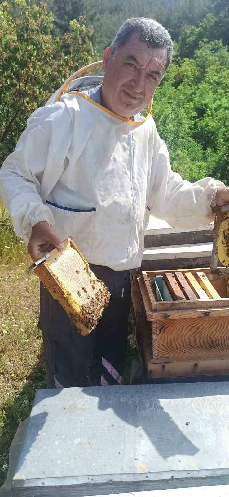 Gazipaşa’da Arıcıların Yayla Mesaisi Başlıyor