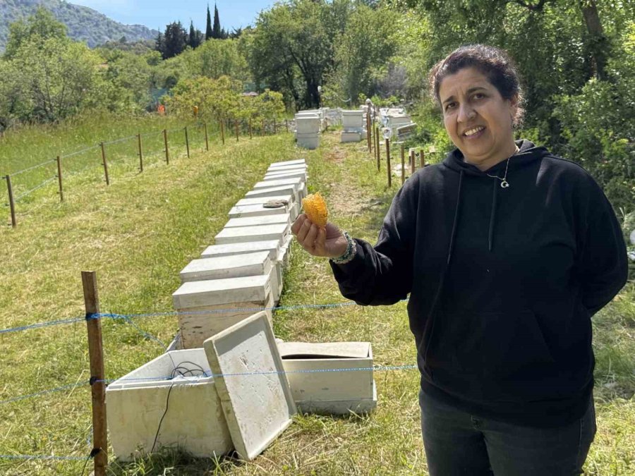 Antalya’da Arıcılar Yeni Sezona Hazırlanıyor