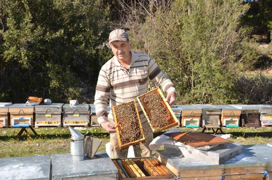 Antalya’da Arıcılar Yeni Sezona Hazırlanıyor