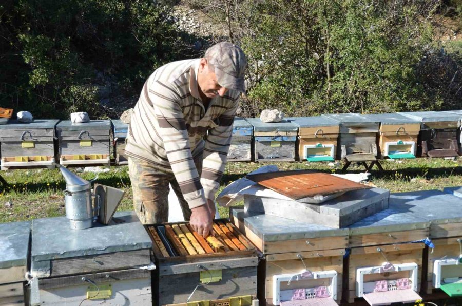 Antalya’da Arıcılar Yeni Sezona Hazırlanıyor