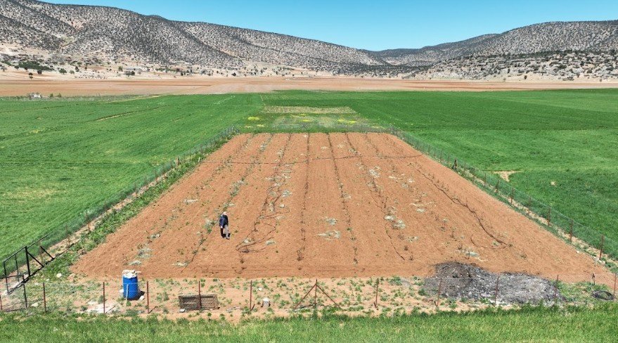 Antalya’da Tarımsal Sulama Projeleriyle Tersine Göç Hızlandı