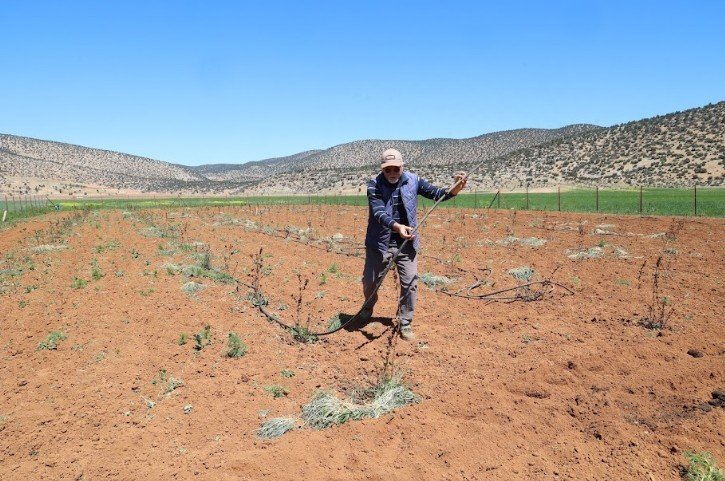 Antalya’da Tarımsal Sulama Projeleriyle Tersine Göç Hızlandı