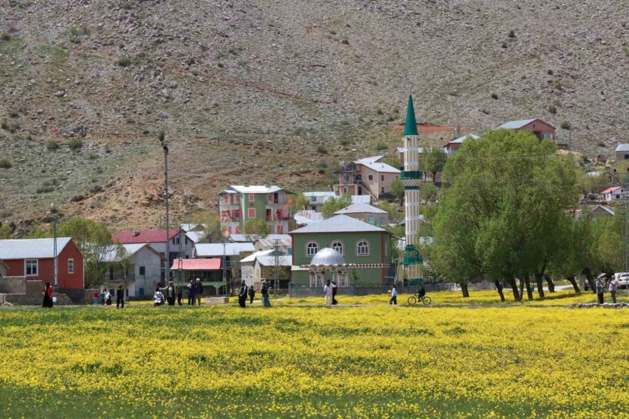 Orta Toroslardaki Yaylalar Görsel Şölen Sunuyor