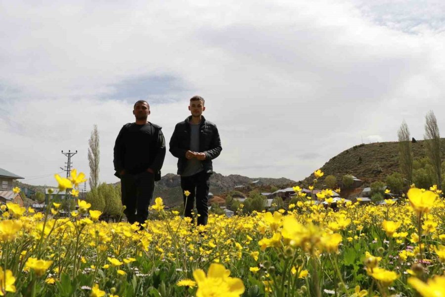 Orta Toroslardaki Yaylalar Görsel Şölen Sunuyor
