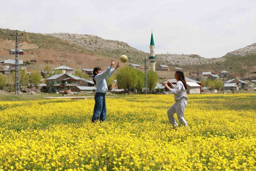 Orta Toroslardaki Yaylalar Görsel Şölen Sunuyor
