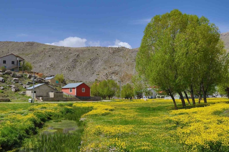 Orta Toroslardaki Yaylalar Görsel Şölen Sunuyor