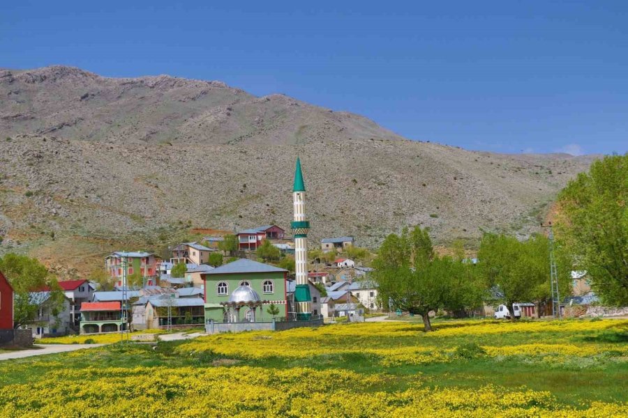 Orta Toroslardaki Yaylalar Görsel Şölen Sunuyor