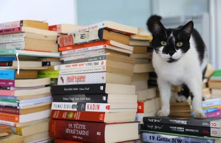 Antalya’dan Yola Çıkan Kitaplar Türkiye’yi Aydınlatıyor