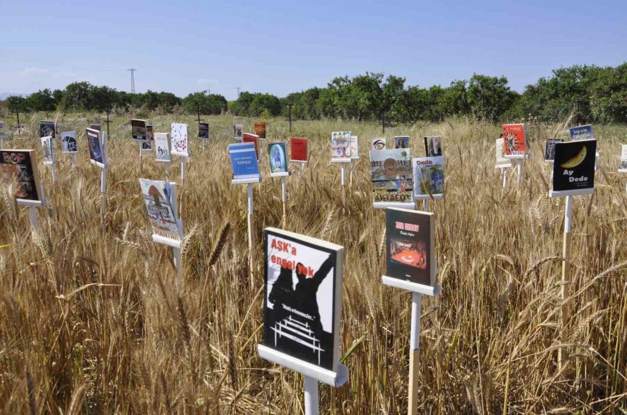 Başaklar Kitap Açtı