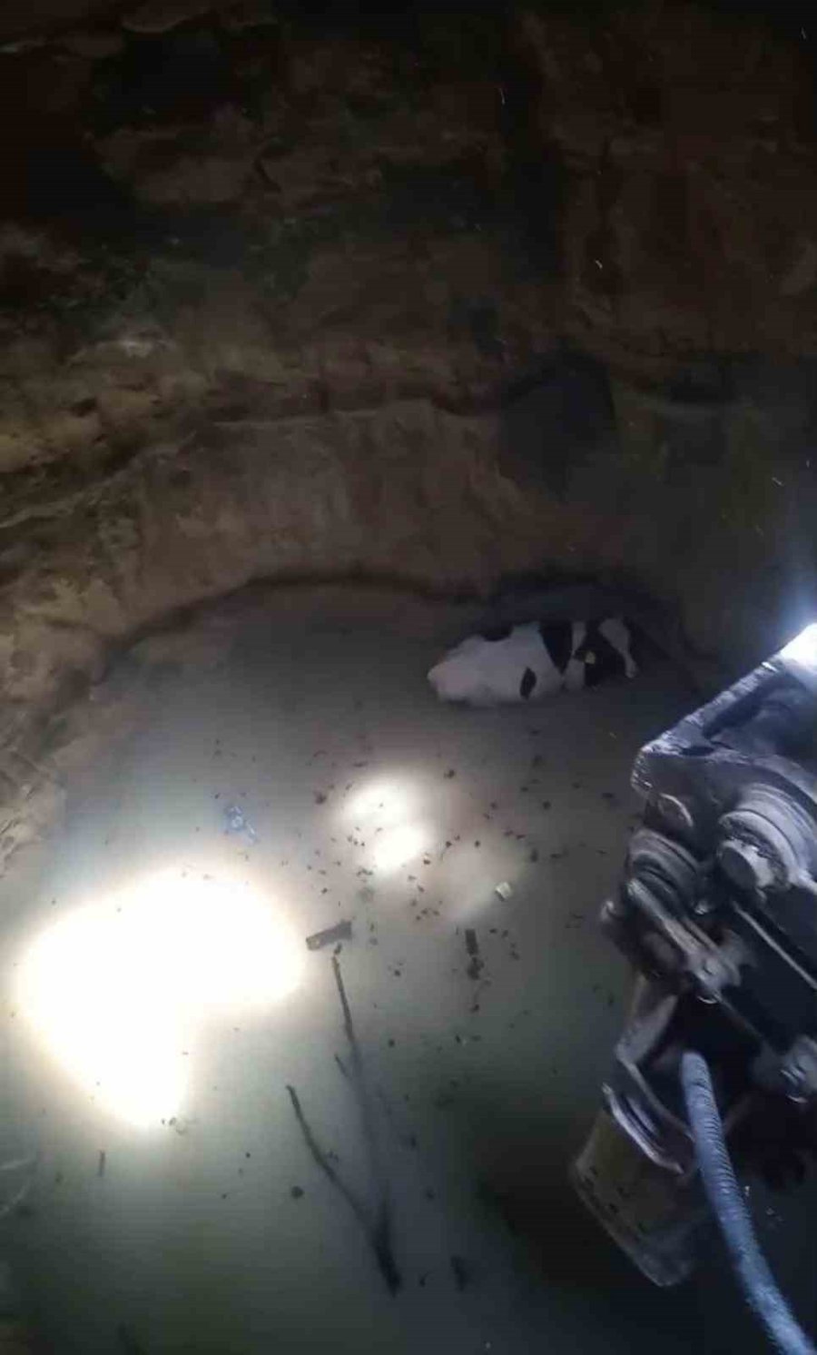 Mersin’de 10 Metrelik Su Kuyusuna Düşen Danayı İtfaiye Kurtardı