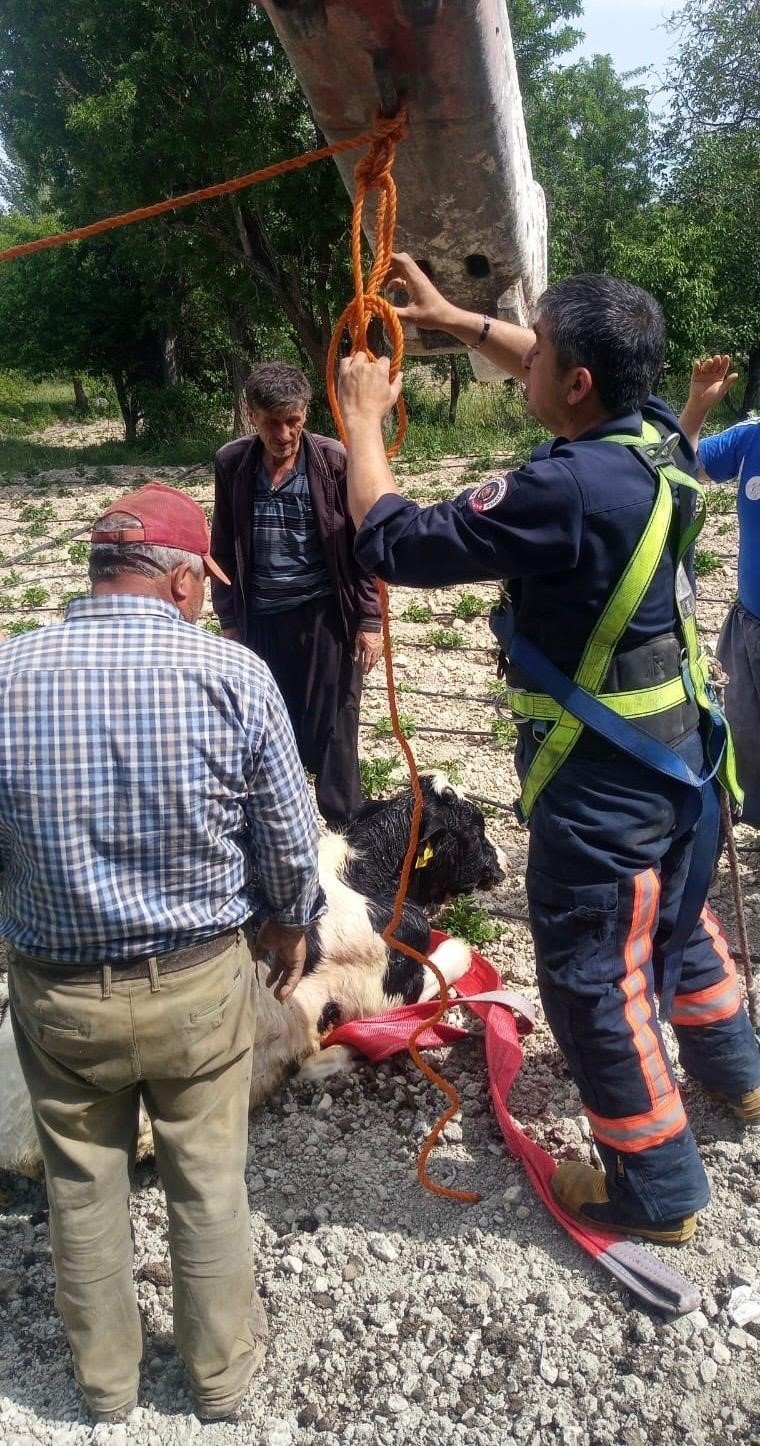 Mersin’de 10 Metrelik Su Kuyusuna Düşen Danayı İtfaiye Kurtardı
