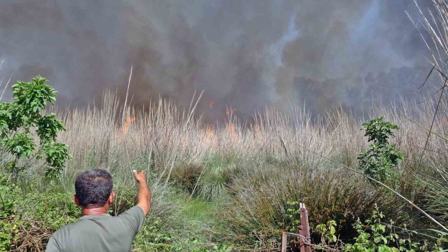 Antalya’da İtfaiye Erleri Alevlerle Burun Buruna Kaldı, Bir Adım Geri Atmadılar