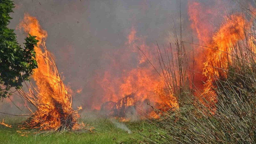 Antalya’da İtfaiye Erleri Alevlerle Burun Buruna Kaldı, Bir Adım Geri Atmadılar