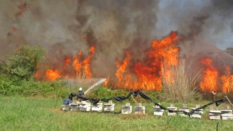 Antalya’da İtfaiye Erleri Alevlerle Burun Buruna Kaldı, Bir Adım Geri Atmadılar