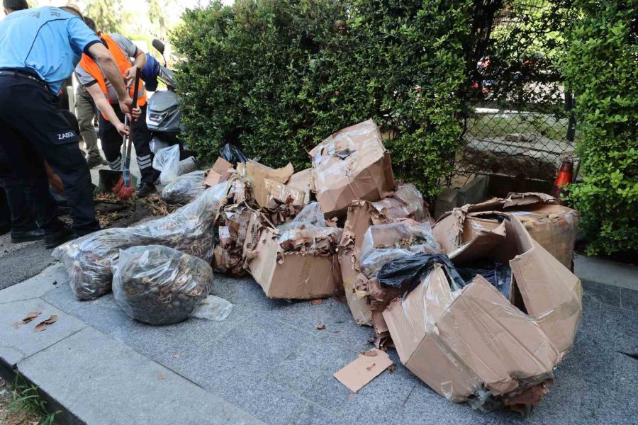 Antalya Terminalinde 300 Kilogram Kerevit, 40 Kilo Üreme Mevsiminde Av Yasağı Bulunan Mavi Yengeç Ele Geçirildi