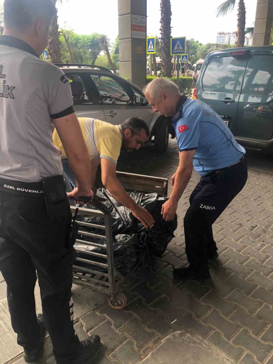 Antalya Terminalinde 300 Kilogram Kerevit, 40 Kilo Üreme Mevsiminde Av Yasağı Bulunan Mavi Yengeç Ele Geçirildi