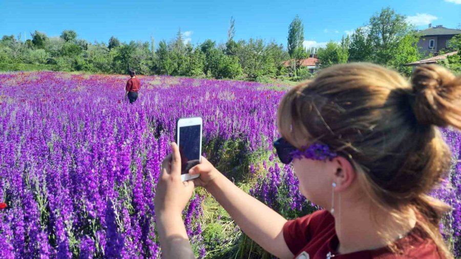 Konya Bozkır’da Renk Cümbüşü