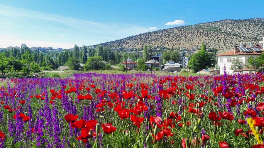 Konya Bozkır’da Renk Cümbüşü