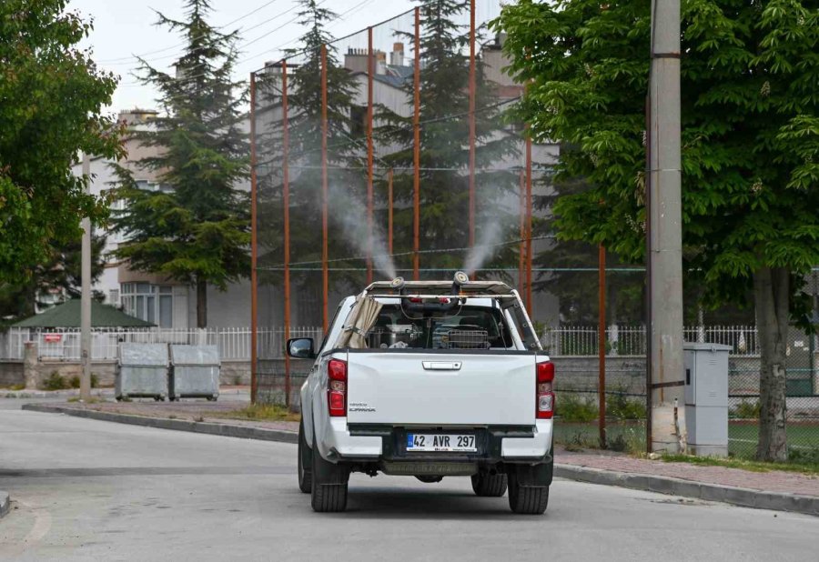 Selçuklu’da İlaçlama Çalışmalar Başladı