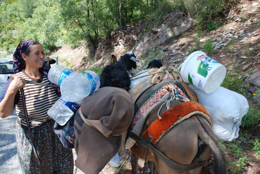 Antalya’da Yörüklerin Yayla Serüvenleri Başladı