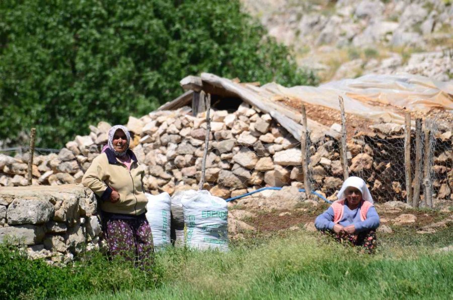 Antalya’da Yörüklerin Yayla Serüvenleri Başladı