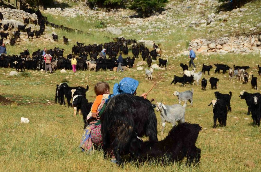 Antalya’da Yörüklerin Yayla Serüvenleri Başladı