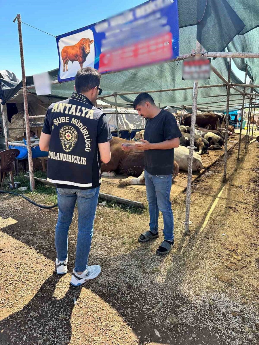 Antalya’da Kurban Pazarlarında Dolandırıcılık Ve Hırsızlık Uyarısı