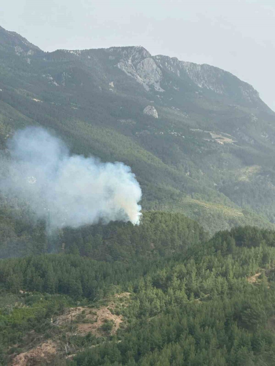 Kumluca’da Orman Yangını: 1 Hektarlık Alan Zarar Gördü