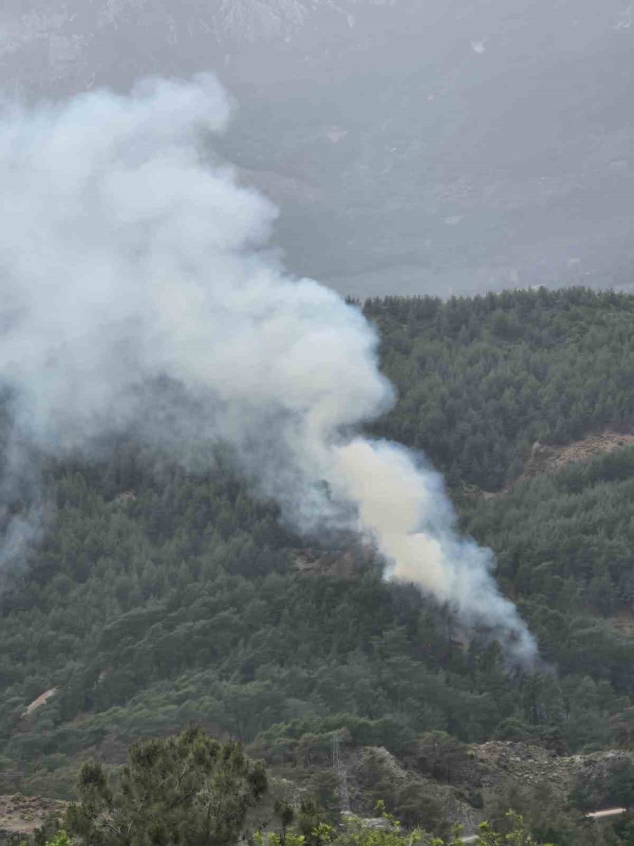 Kumluca’da Orman Yangını: 1 Hektarlık Alan Zarar Gördü