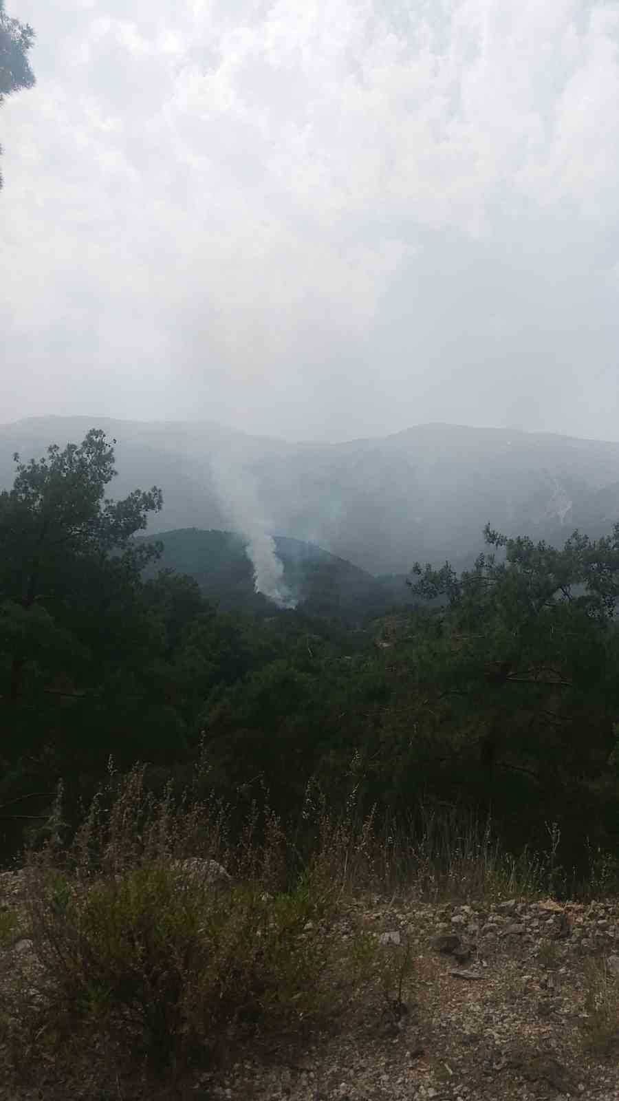 Kumluca’da Orman Yangını: 1 Hektarlık Alan Zarar Gördü