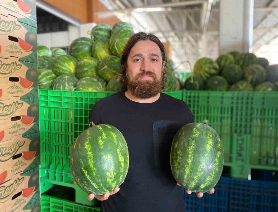 Mersin’de Karpuz Hasadı Başladı