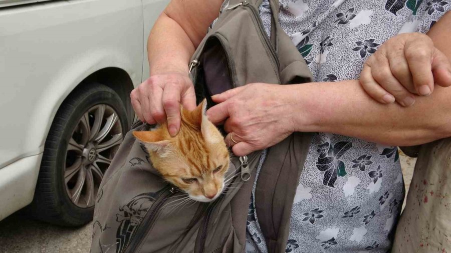 Antalya’da 15 Katlı Apartmanda Çıkan Yangında Adeta Can Pazarı Yaşandı