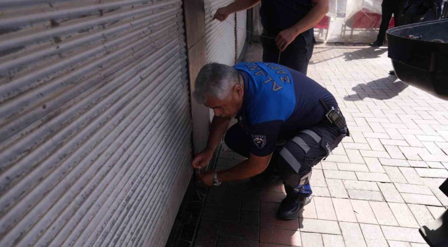 50 Kilo Midye Şehirlerarası Otobüsün Teknik Takibiyle Ele Geçirildi