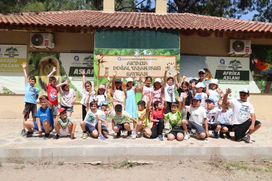 Kaplumbağaları İnceleyip Hem Öğrendiler Hem Eğlendiler