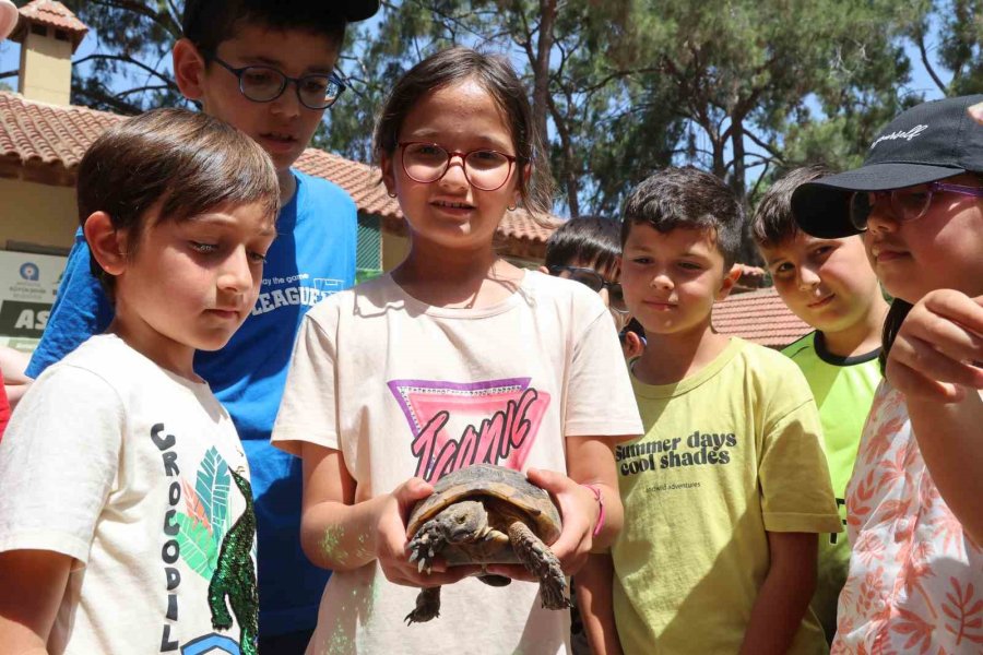 Kaplumbağaları İnceleyip Hem Öğrendiler Hem Eğlendiler