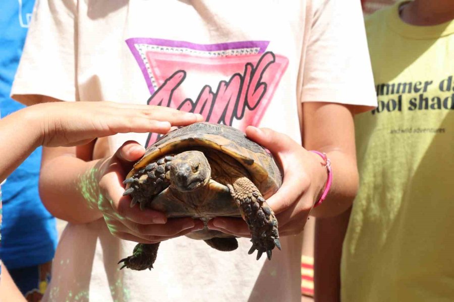 Kaplumbağaları İnceleyip Hem Öğrendiler Hem Eğlendiler