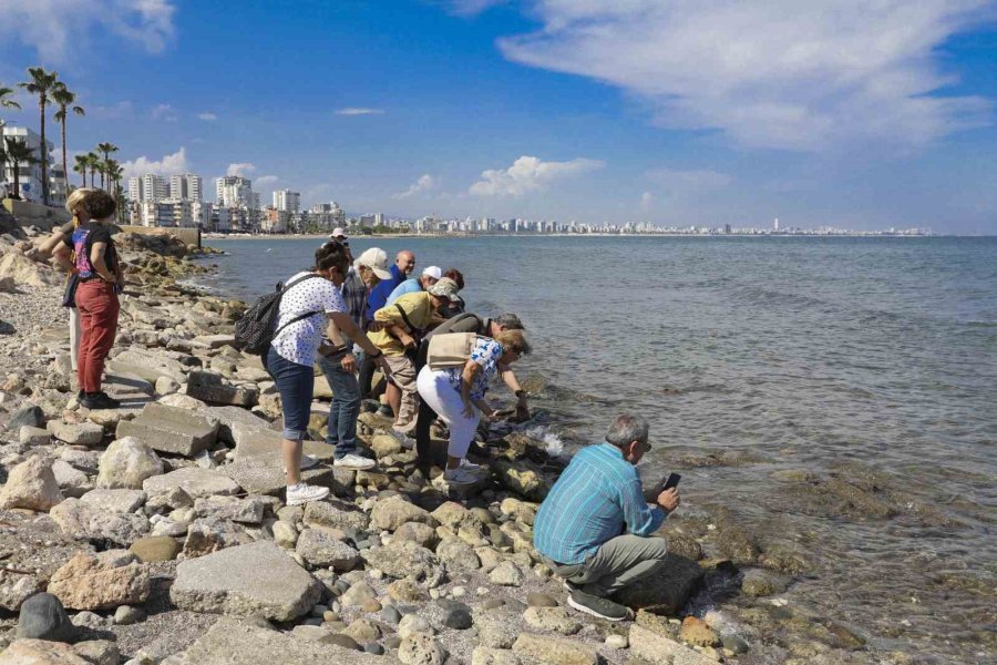 Mersin’de ’deniz Ve Kıyı Yaşamı İçin Vatandaş Bilimi Etkinliği’ Yapıldı