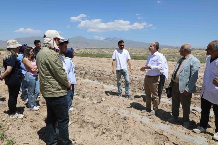 Nöhü, Niğde Bağlarını Yeniden Canlandırıyor
